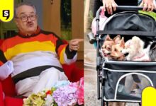 Pedro Sola violencia perritos