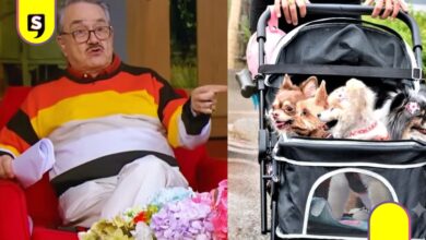 Pedro Sola violencia perritos