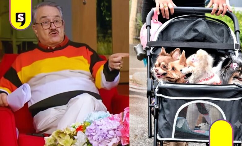 Pedro Sola violencia perritos