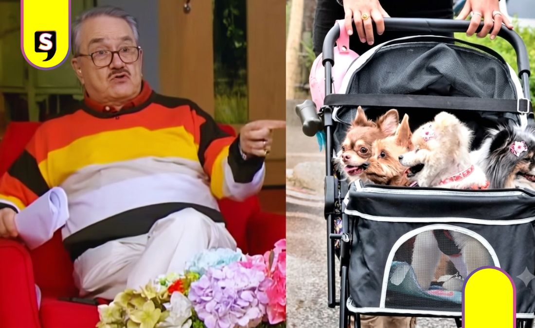Pedro Sola violencia perritos