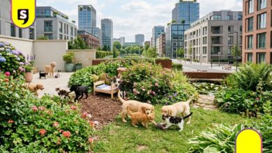 Plantas tóxicas para perros y gatos