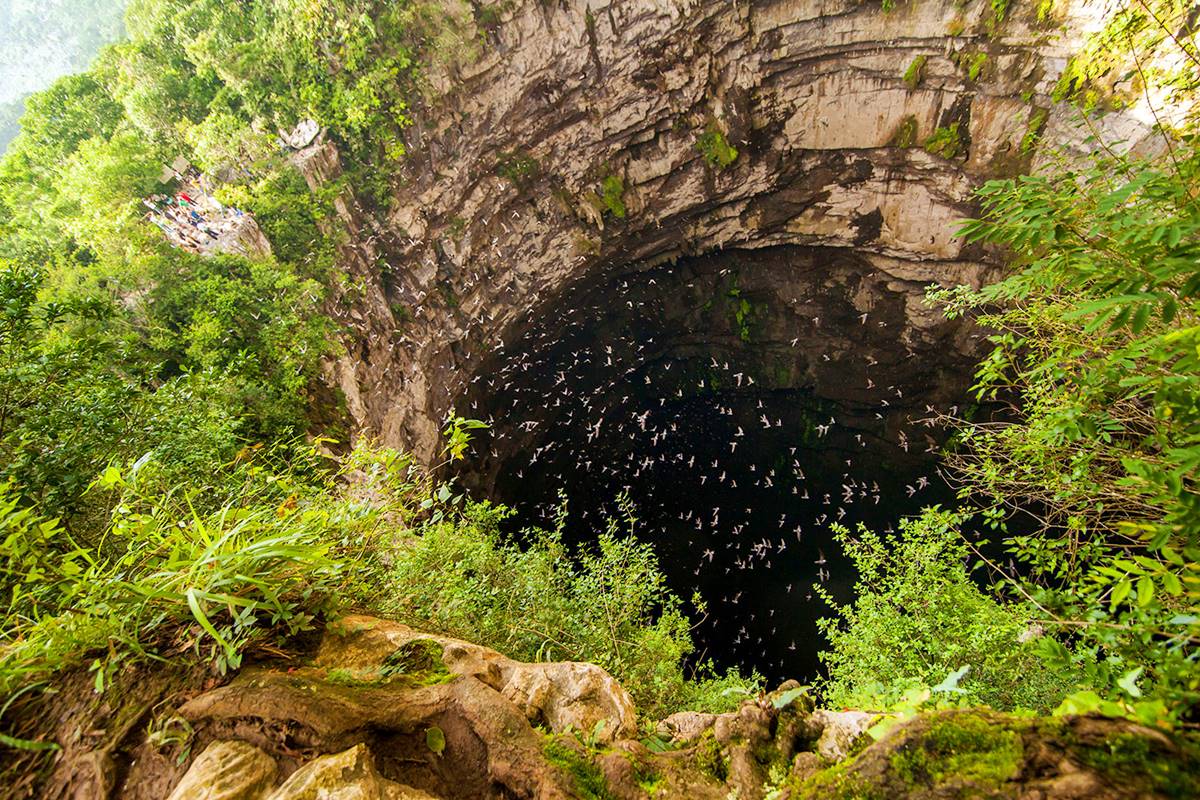 Sótano de las Golondrinas