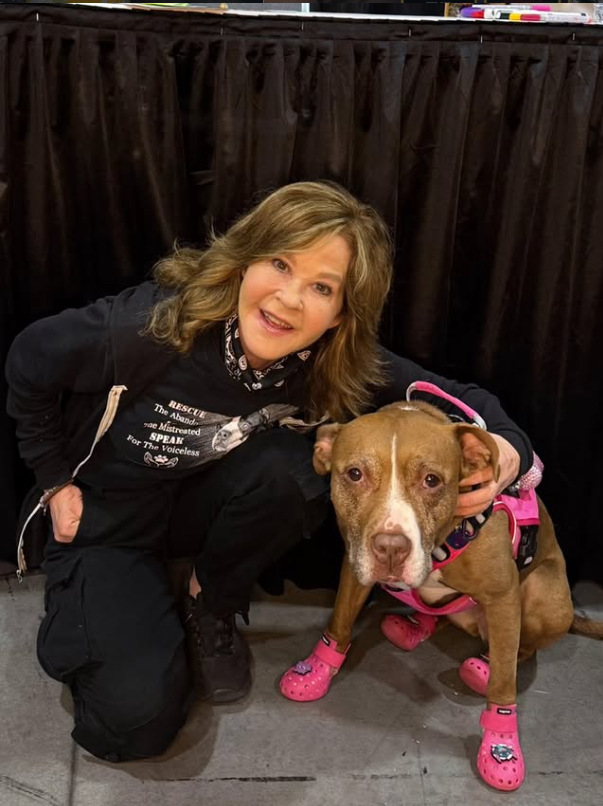 Linda Blair por refugio perros