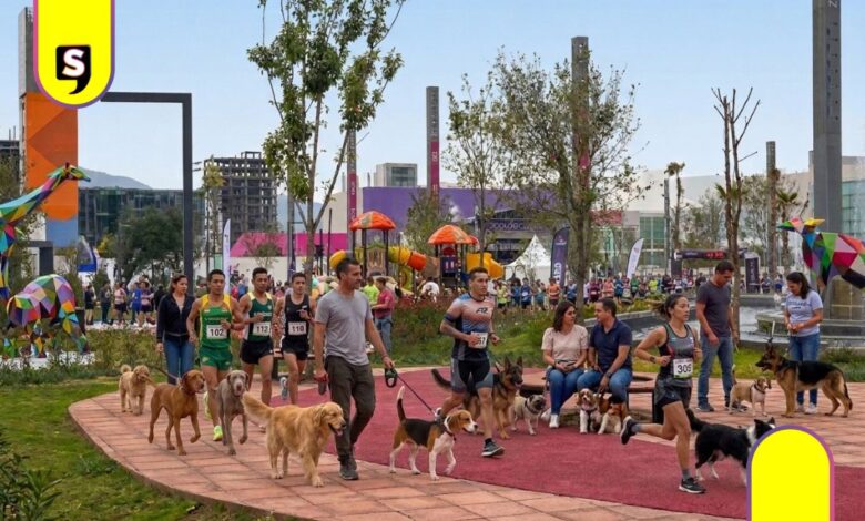 Carrera Perrotón Pachuca 2026