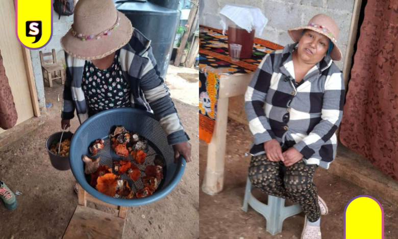 Comunidad de Acaxochitlán pide apoyo para nanakatera