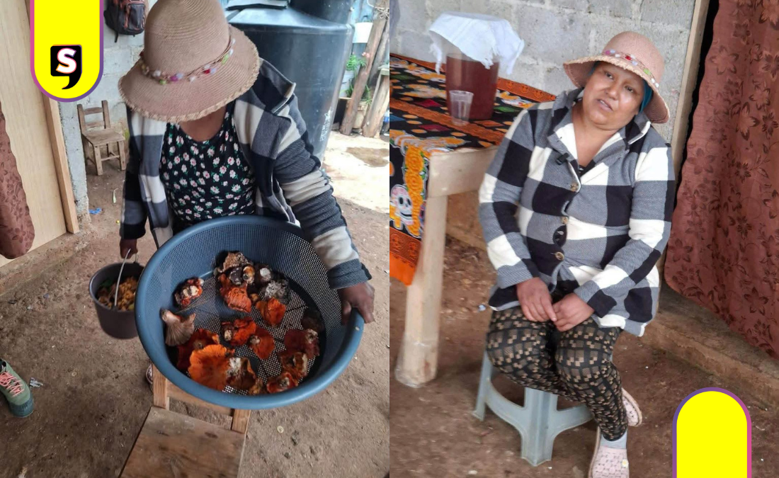 Comunidad de Acaxochitlán pide apoyo para nanakatera