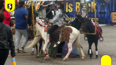 Denuncia de Jauría de Balú sobre uso de ponis en Expo Feria Tulancingo