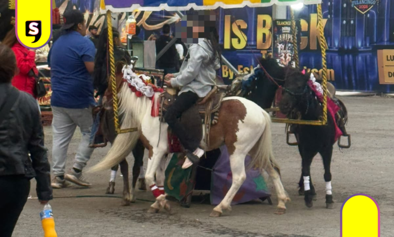 Denuncia de Jauría de Balú sobre uso de ponis en Expo Feria Tulancingo