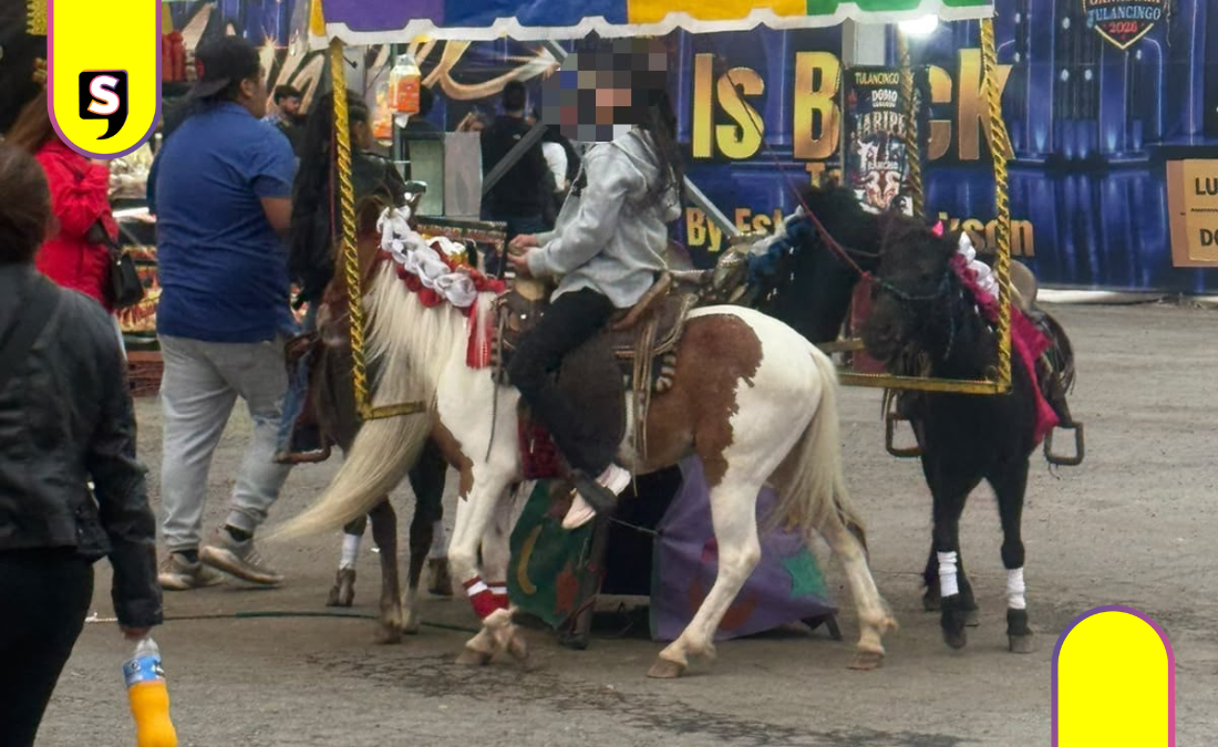 Denuncia de Jauría de Balú sobre uso de ponis en Expo Feria Tulancingo