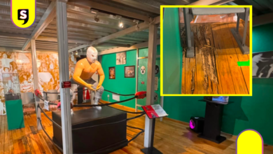Museo del Santo cambia de piso; colaboración con el hijo sigue en pausa