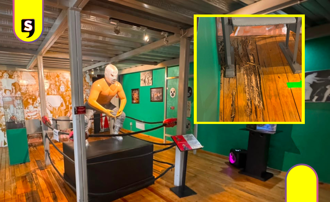 Museo del Santo cambia de piso; colaboración con el hijo sigue en pausa