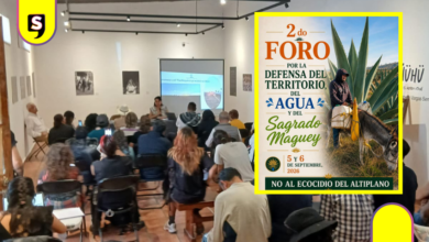 Foro en Hidalgo defiende maguey de megaproyectos solares