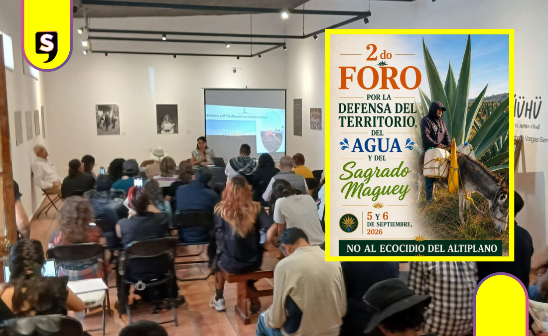 Foro en Hidalgo defiende maguey de megaproyectos solares