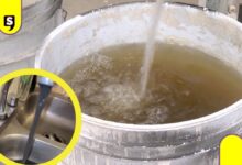 Agua en Guadalajara