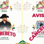 Aleks Syntek cancela su presentación en la Feria del Queso de Acatlán