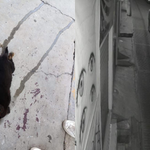 ¡Otra vez! Reportan nuevo caso de maltrato animal en Santiago Tulantepec