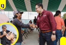 Pachuca supera 25 mil esterilizaciones y vacunas