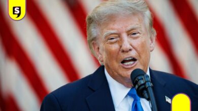 Trump contra políticos mexicanos