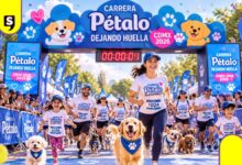 Carrera Pétalo 2026 en CDMX