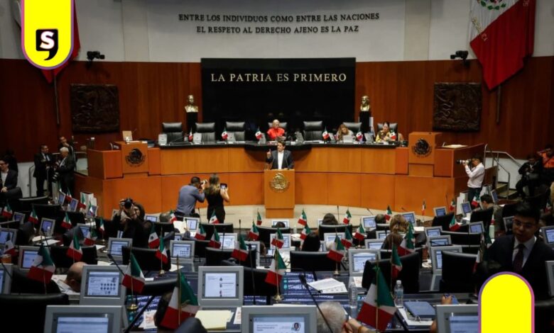 Cuauhtémoc Ochoa niega Ley Antimemes