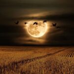 Luna del Cazador iluminará México