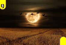 Luna del Cazador iluminará México