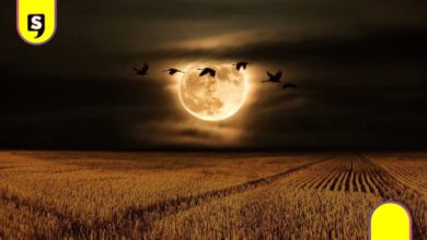Luna del Cazador iluminará México