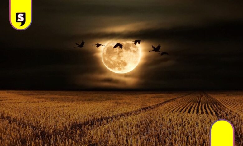Luna del Cazador iluminará México