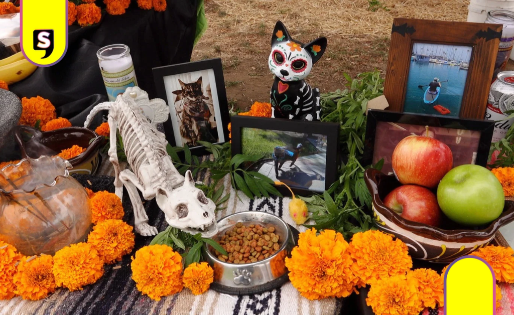 Bienestar animal se suma a la Fiesta de los Muertos 2026 en La Floresta