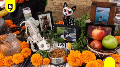 Bienestar animal se suma a la Fiesta de los Muertos 2026 en La Floresta
