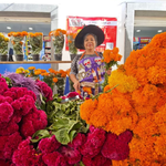 Tianguis de Día de Muertos en Tulancingo, te contamos todo