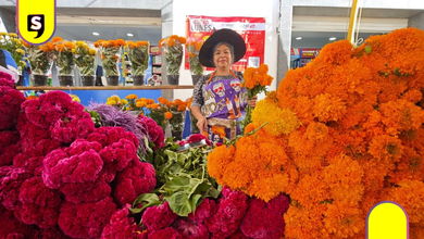 Tianguis de Día de Muertos en Tulancingo, te contamos todo