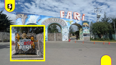 El zoológico que nació de una colección privada: Tuzoofari