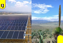 Semarnat niega autorización al parque solar en Epazoyucan y Singuilucan