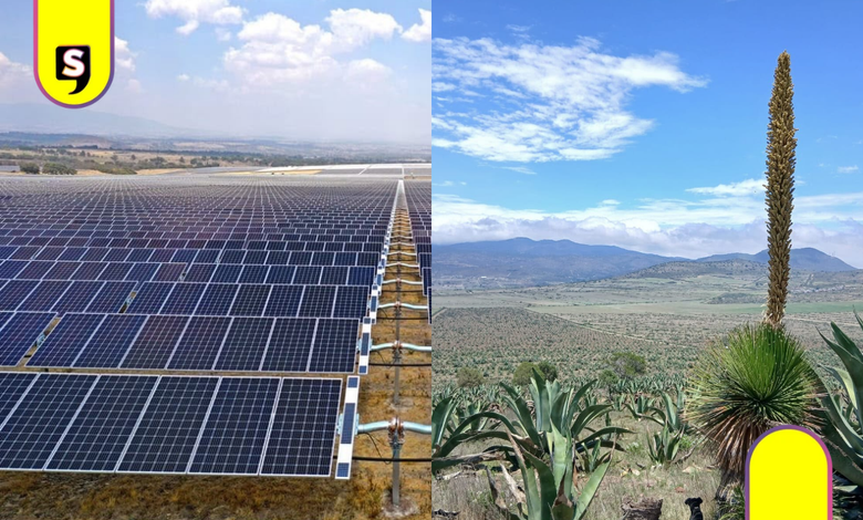 Semarnat niega autorización al parque solar en Epazoyucan y Singuilucan