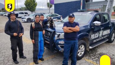 Policías rescatan a perrita en bulevar Minero