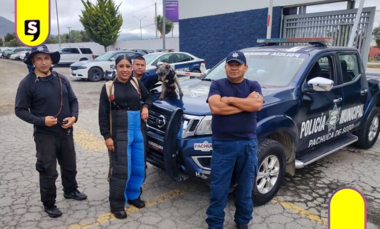 Policías rescatan a perrita en bulevar Minero