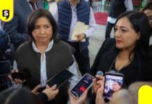 adoptar más allá de los recién nacidos