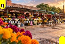 así viven los floristas el Día de Muertos