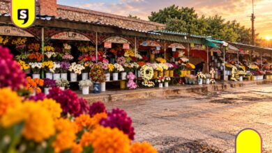 así viven los floristas el Día de Muertos