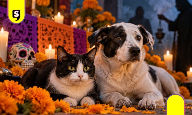 rituales con perros y gatos en Día de Muertos